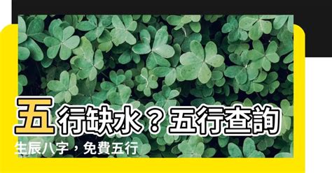 1966年五行屬什麼|生辰八字查詢，生辰八字五行查詢，五行屬性查詢